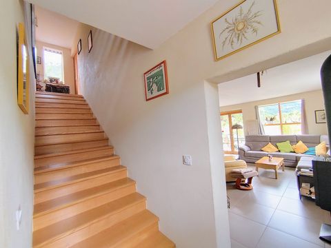 photo no. 8