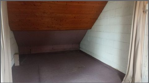 photo no. 13