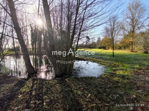 photo no. 13