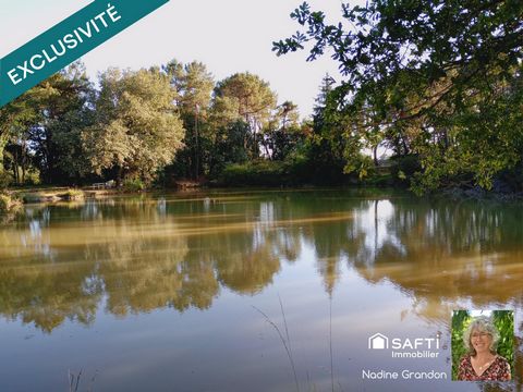 6,7 hectares de prairie, bois, étang - En zone naturelle avec une partie constructible !