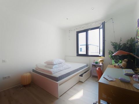 photo no. 8
