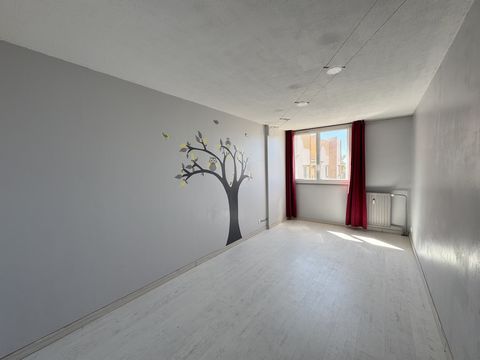 photo no. 4