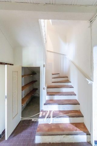 photo no. 8