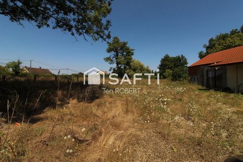 photo no. 17