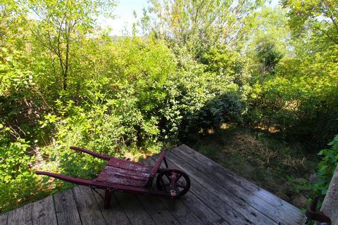 photo no. 2