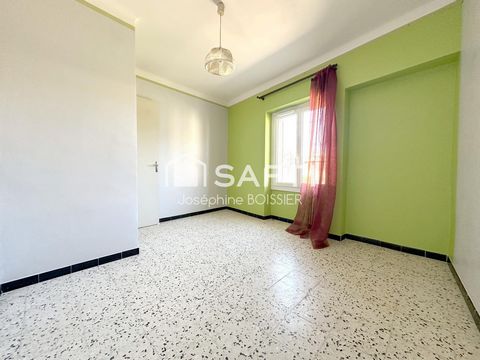 photo no. 12