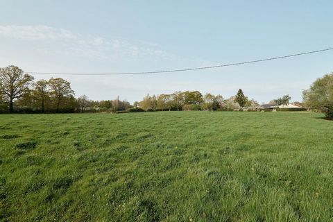 photo no. 2