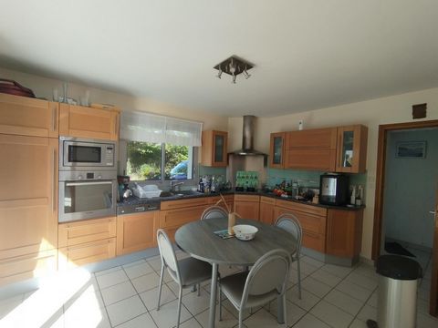 photo no. 14