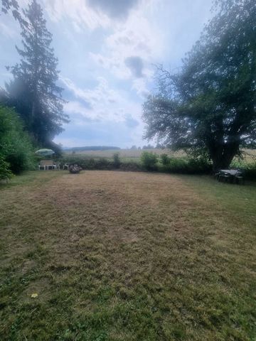 photo no. 11