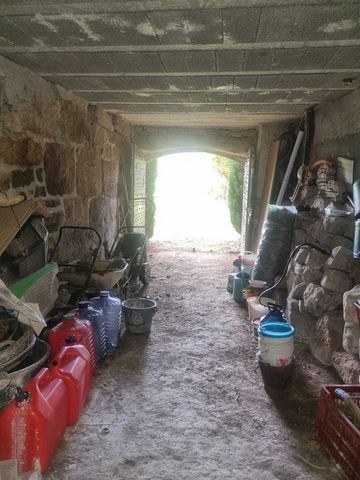 photo no. 15