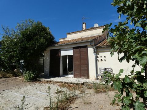 photo no. 2