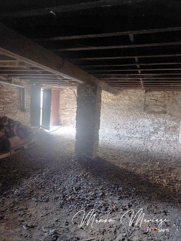 photo no. 5
