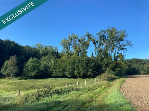 parcelles de foret