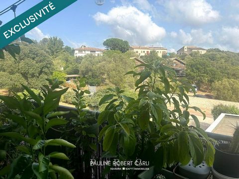 photo no. 13