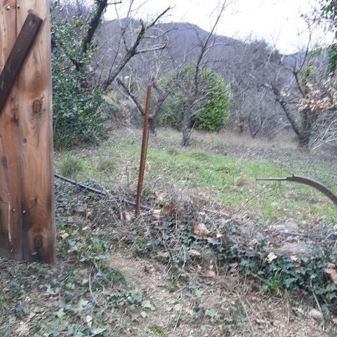 photo no. 10