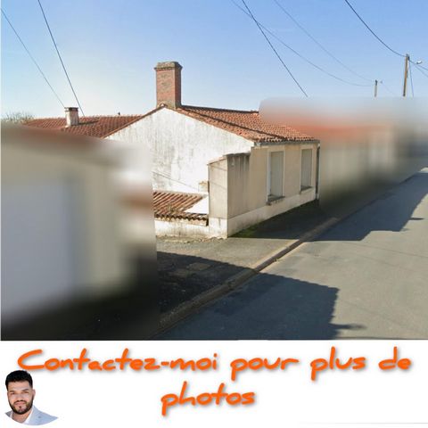 photo no. 4