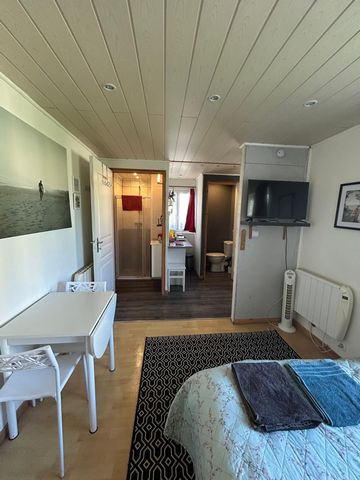 photo no. 15