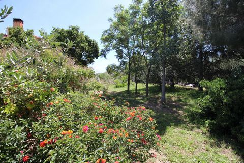 photo no. 15