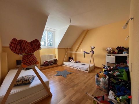 photo no. 11