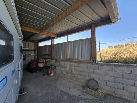 photo no. 19