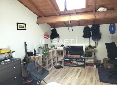 photo no. 6