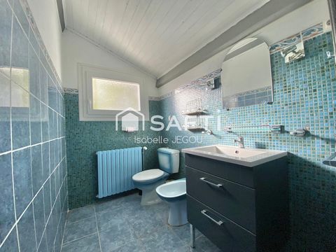 photo no. 7