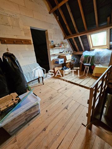 photo no. 11