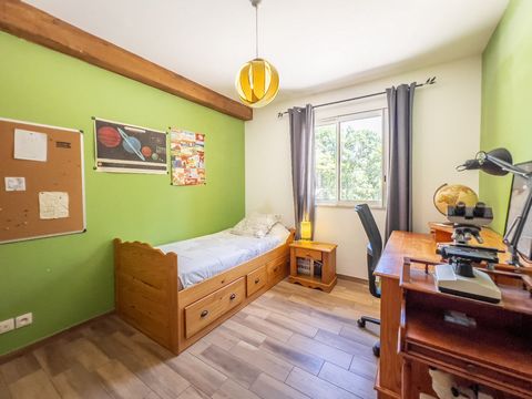 photo no. 12