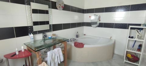 photo no. 10