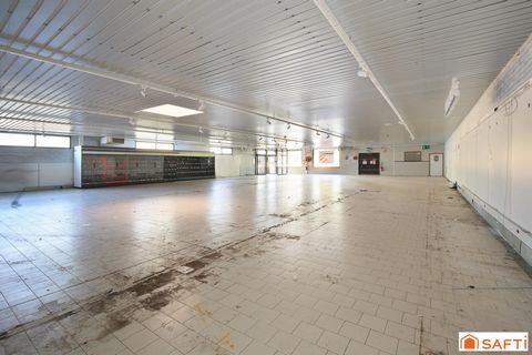 photo no. 4