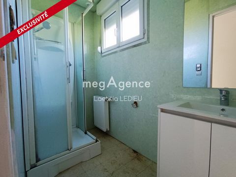 photo no. 13