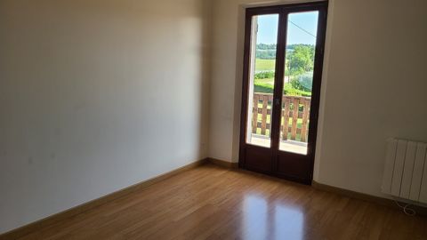 photo no. 12
