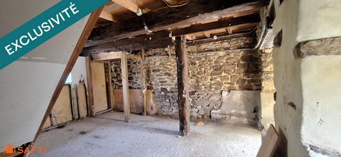 photo no. 6