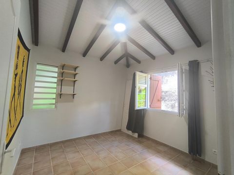 photo no. 6