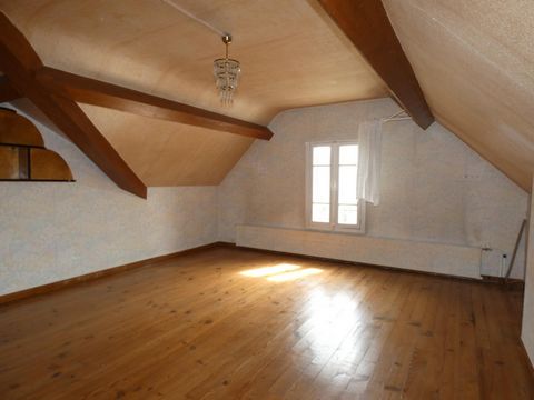 photo no. 11