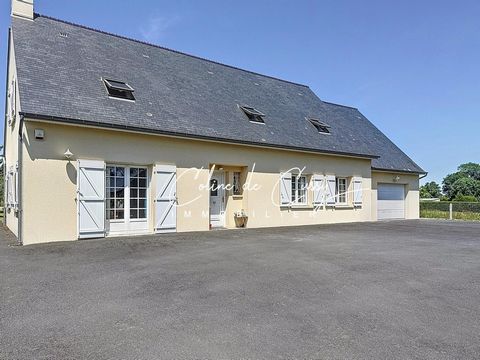 photo no. 11