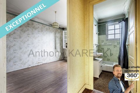 photo no. 10