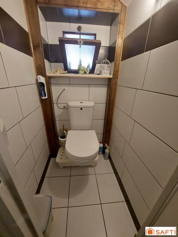 photo no. 12