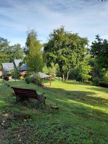 photo no. 17