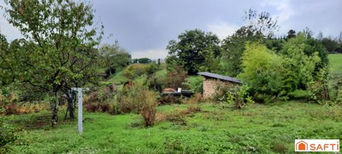 photo no. 4