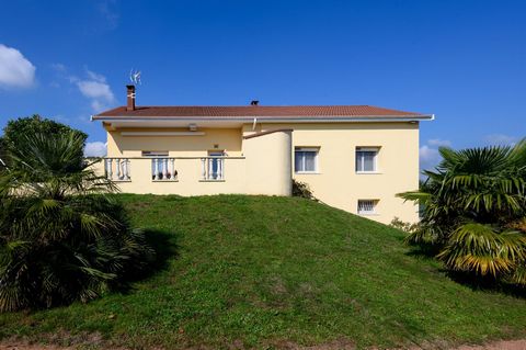 photo no. 5