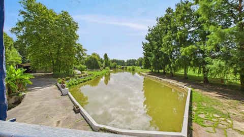photo no. 12