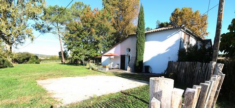 photo no. 25