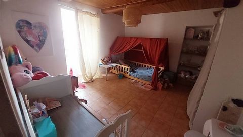 photo no. 12