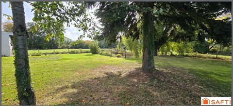photo no. 10