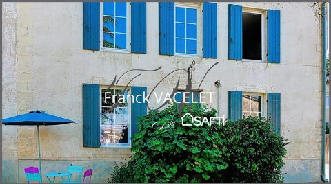 photo no. 12