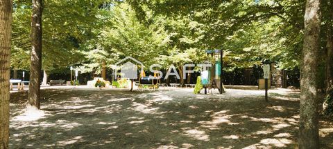 photo no. 12