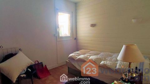 photo no. 12