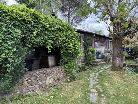 photo no. 13