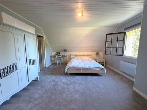 photo no. 8